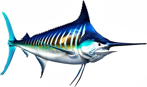 White Marlin Vinyl Sticker Fish Decals for Boat Car Vehicle Truck Fishing - Picture 6 of 13