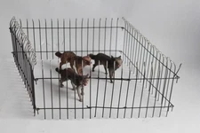 Wolf Zoo Elastolin Hausser composition Toy (67160)