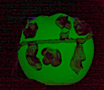 C. 1830-1880 URANIUM GLASS Ivory Glass Rose Bowl  by Stevens and Williams  GLOWS