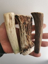 279.KNIFE HANDLE MATERIAL.  ELK HORN BLANKS.EUROPEN ELK(NATURAL).
