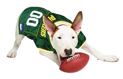 green bay packers dog jersey