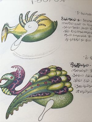 【奇書】 Codex Seraphinianus Luigi Serafini Codex Seraphinianus by Luigi Serafini - Hardcover by