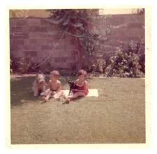 70s American Kids With Pet Dogs Vintage Photo Snapshot California