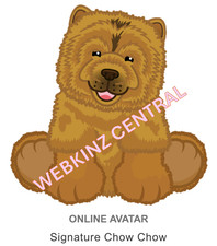 Webkinz Classic Signature Chow Chow Code Only messaged