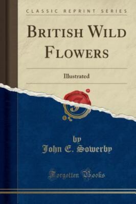 British Wild Flowers: Illustrated (Classic Reprint) by Sowerby, John E.