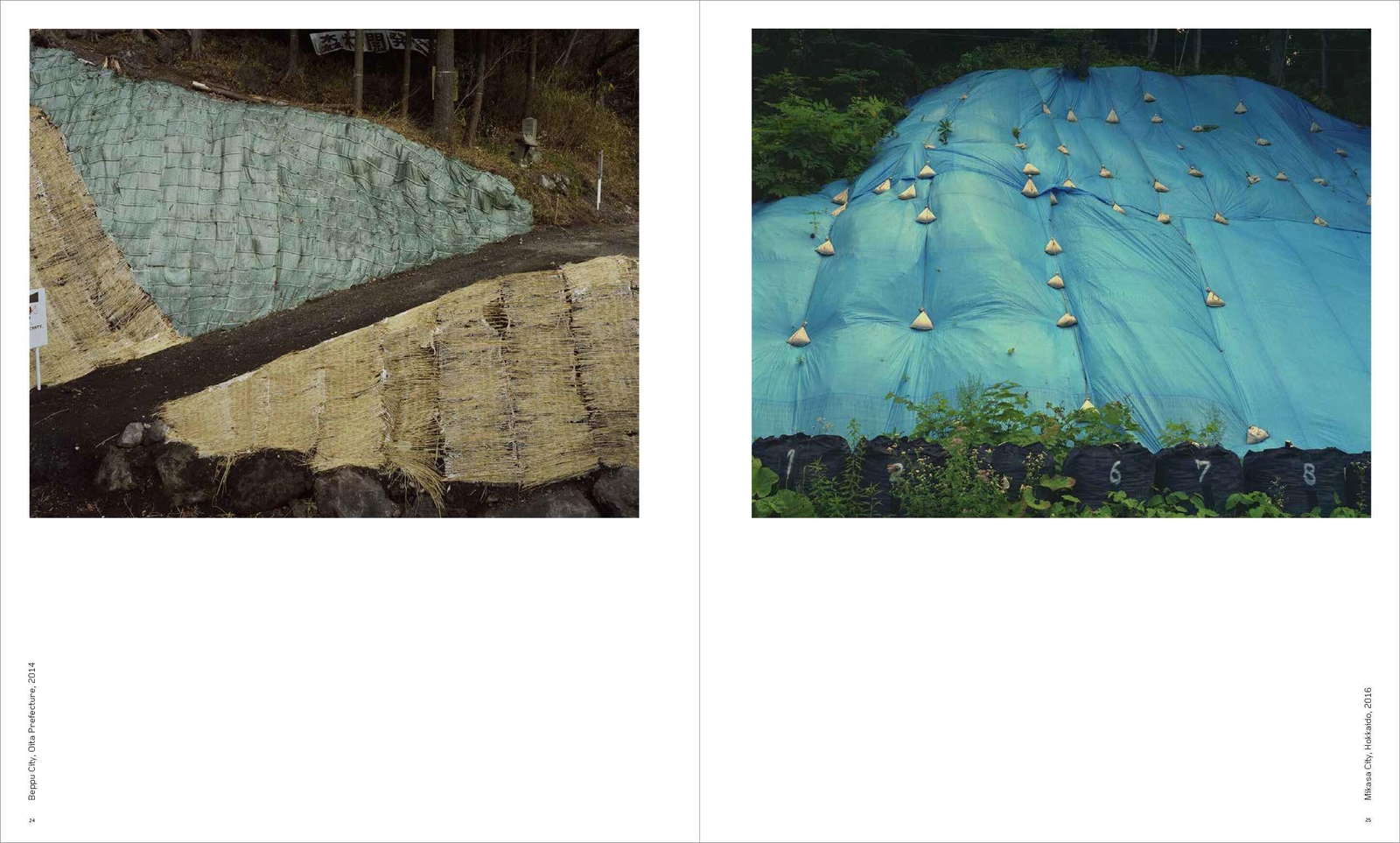 Thumbnail - Toshio Shibata: Japan | Phillip Prodger (u. A.) | Buch | 200 S. |