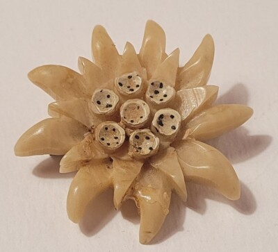 Broche Vintage Edelweiss En Lucite Sculpté Art Déco Années 30 - Cerclage Doré - Occasion