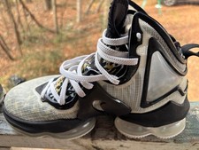 Nike LeBron 19 'Safari' Basketball Shoe