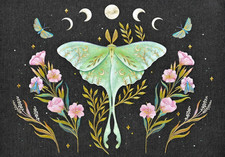 Luna Moth Note Cards (14 Cards, 15 Self-Seali...