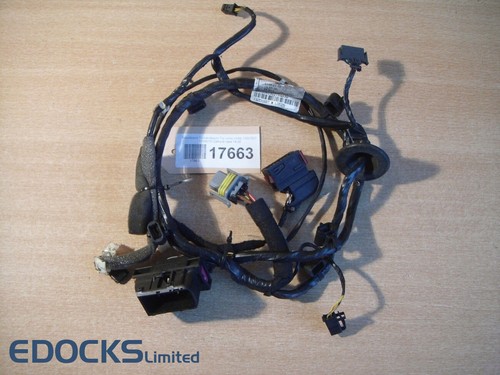 Front door wiring loom