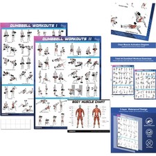 2 Pk Dumbbell Workout Poster Set - 18x24 Home Gym Exercise Charts Muscle Diagram