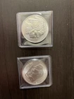 Buffalo Indian Head One Troy Ounce Silver Round Bullion Coin 999 Fine