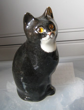 Winstanley cat size 2 black and white (one eye slightly damaged)