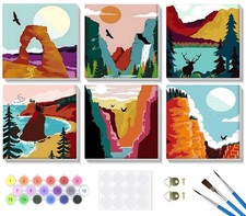 6 Pack Framed Paint by Numbers Kit for Adults Beginner, Landscape Adults' Pai...