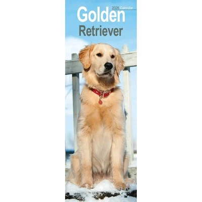 AVONSIDE PUBLISHING LTD Golden Retriever Slim Calendar 2026 - Dogs - Month To View
