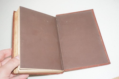 1890 Practical Floriculture by Peter Henderson Florist Flowers Gardening Book - Picture 15 of 15