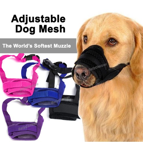 muzzle for puppy chewing