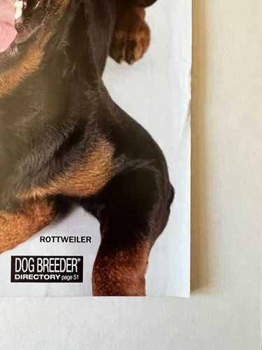 ROTTWEILER GORDON SETTER August 2014 DOG FANCY MAGAZINE Car Trips How Dogs Think - Picture 4 of 9