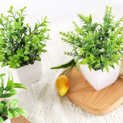 Eukalyptus Pflanze Lavendel Bonsai Künstlich Hausästhetik Echt Optik