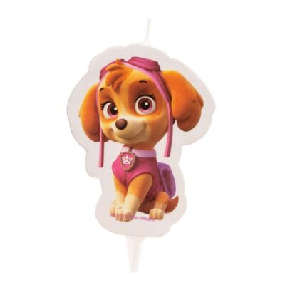 HDKUW Hunde-Geburtstagsparty-Set – Inkl. Bandana, Hut, Banner & Luftballons, Rosa, Für Kleine Bis Mittlere Hunde
