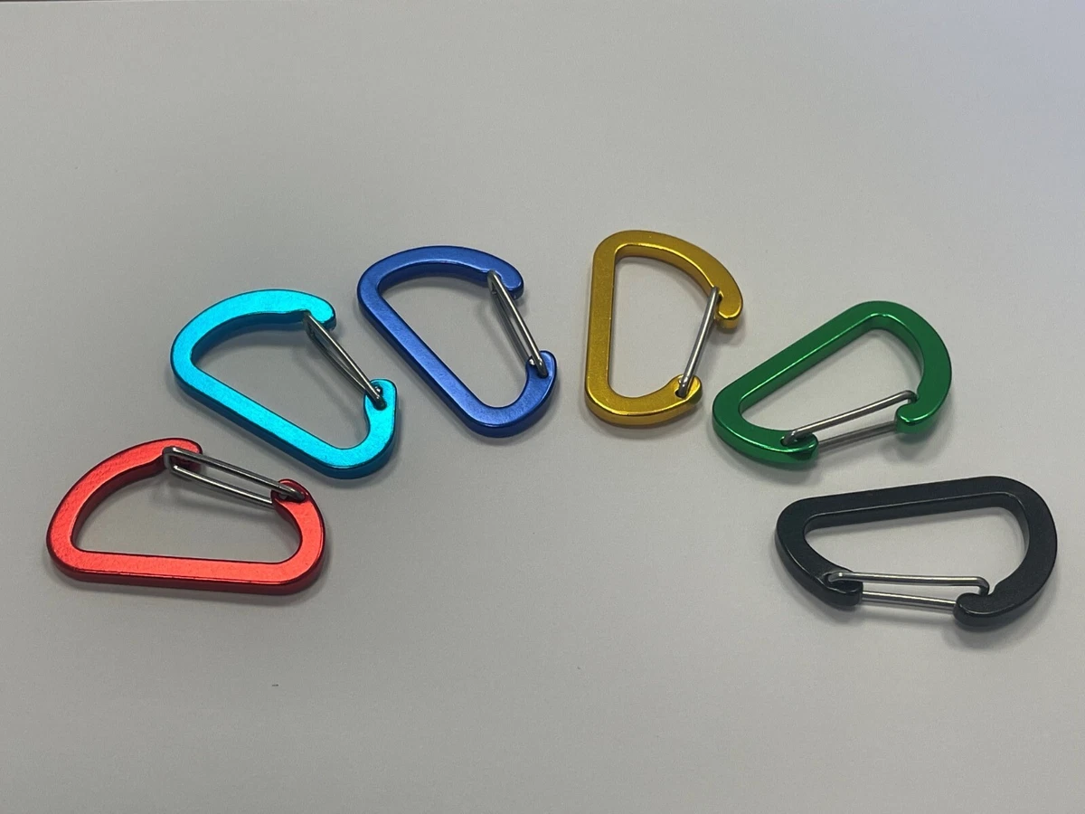 Mini carabiner best sale keyring