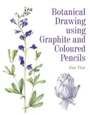 Sue Vize Botanical Drawing using Graphite and Coloured Pencils (Paperback)