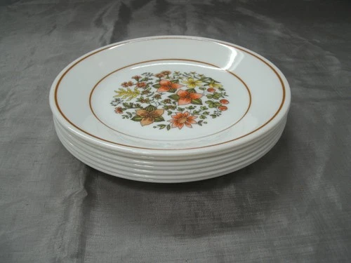 Vtg Corning Ware Corelle INDIAN SUMMER Set of 7~6-3/4" Bread & Butter Plates USA