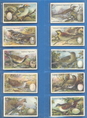 VÖGELNESTER & EIER.23 GALLAHER ZIGARETTENKARTEN AUSGEGEBEN 1919