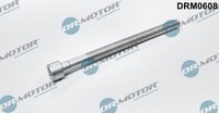 Dr.Motor Automotive Schraube, EinspritzdüSenhalter DRM0608 FüR Audi Seat Skoda