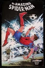 Amazing Spider-Man #30 Netho Diaz Soccer Variant || NM