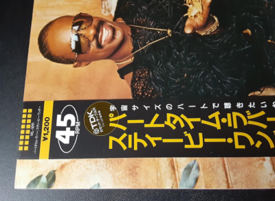 Stevie Wonder Part-Time Lover 12