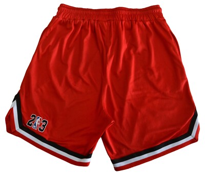 NBA CHICAGO BULLS BASKETBALL SHORTS SIZE L ADULT | eBay