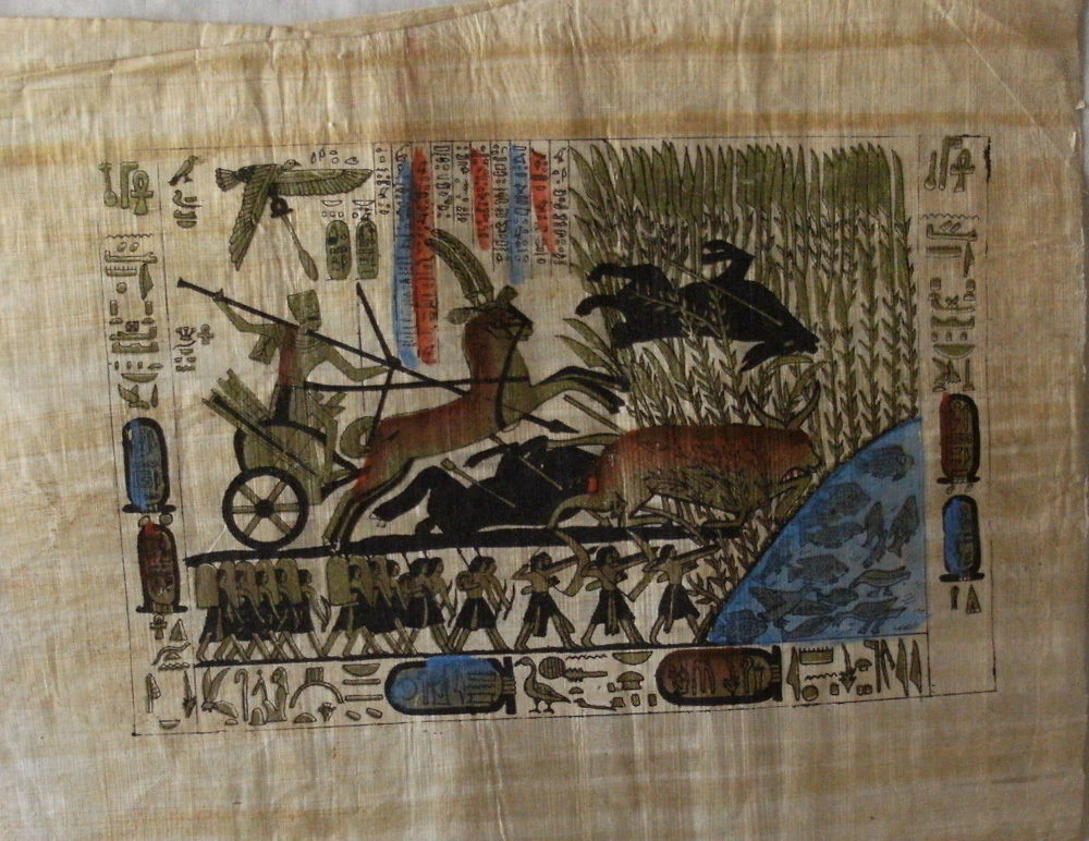 Paper made from reeds sale