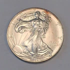 2009 Uncirculated American Silver Eagle US Mint Issue 1oz Pure Silver #N314