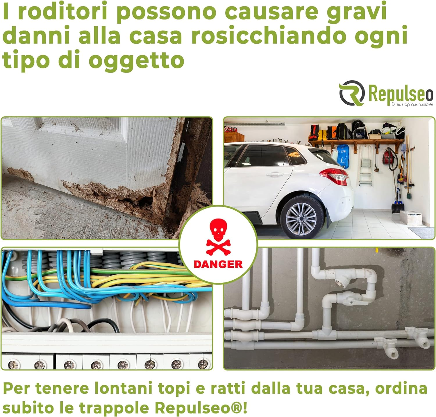 Foto 6 di 12