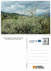 SPAIN. POSTAL STATIONERY. MONASTERIO DE PIEDRA. NUEVALOS (ZARAGOZA)