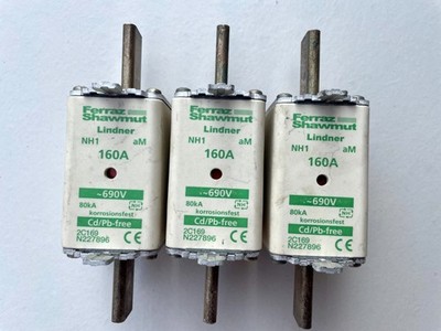 3 x FERRAZ SHAWMUT LINDNER 160A SICHERUNGSLAGER #S3018