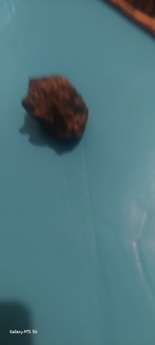 24g lunar meteorite rock for sale - Picture 14 of 14