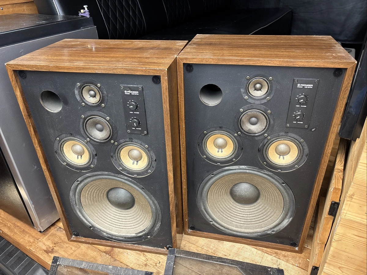 Pioneer CS-66 パイオニア - ビンテージ ミッドレンジスピーカー ペア