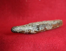 Ancient Punuk Period Seal Effigy Toggle Yupik St. Lawrence Island Alaska