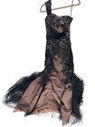 Alyce Black Label Goth Vampire Core Dark Romance Single Sleeve Lace maxi dress 4
