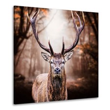 HIRSCH NATUR LEINWAND BILD WANDBILDER WALD KUNSTDRUCK TIERE DEKO WOHNZIMMER XXL