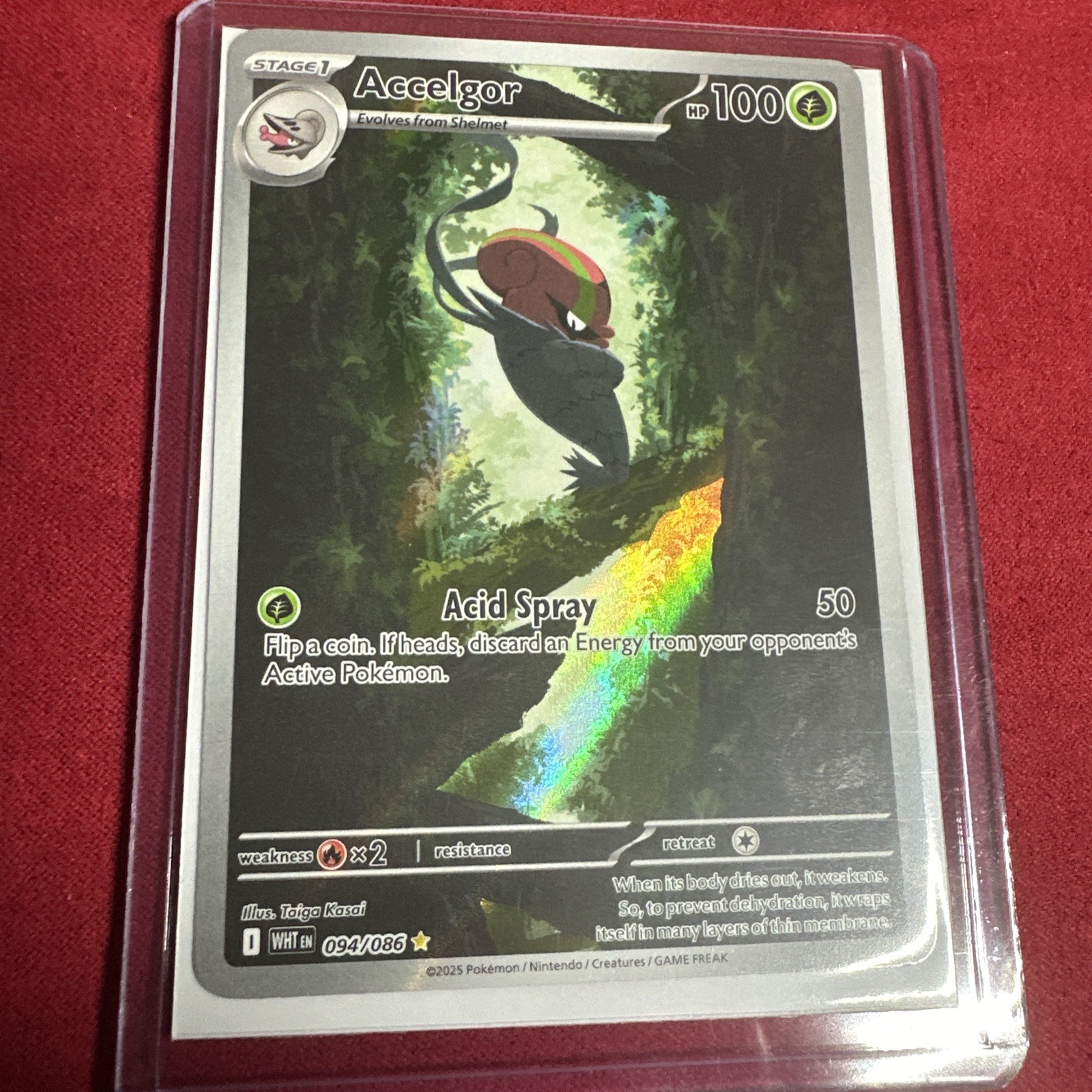 Pokemon Tcg Brand New White Flare Accelgor 94/86 Illustration Rare