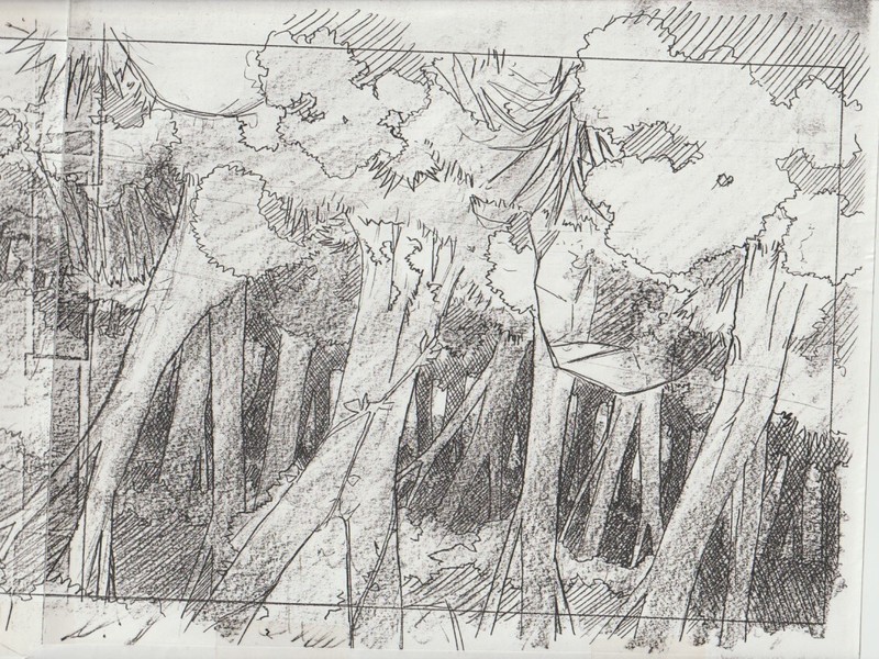 The Twelve Kingdoms Juuni Kokki Genga Douga Original Sketches Pierrot - Youko