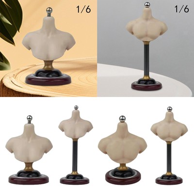 1/6 Half Bust Base Stand Head Sculpt Holder Bracket for Cosplay Collection