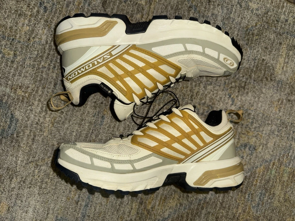 Salomon ACS Pro GORE-TEX Icicle Antelope for sale | eBay