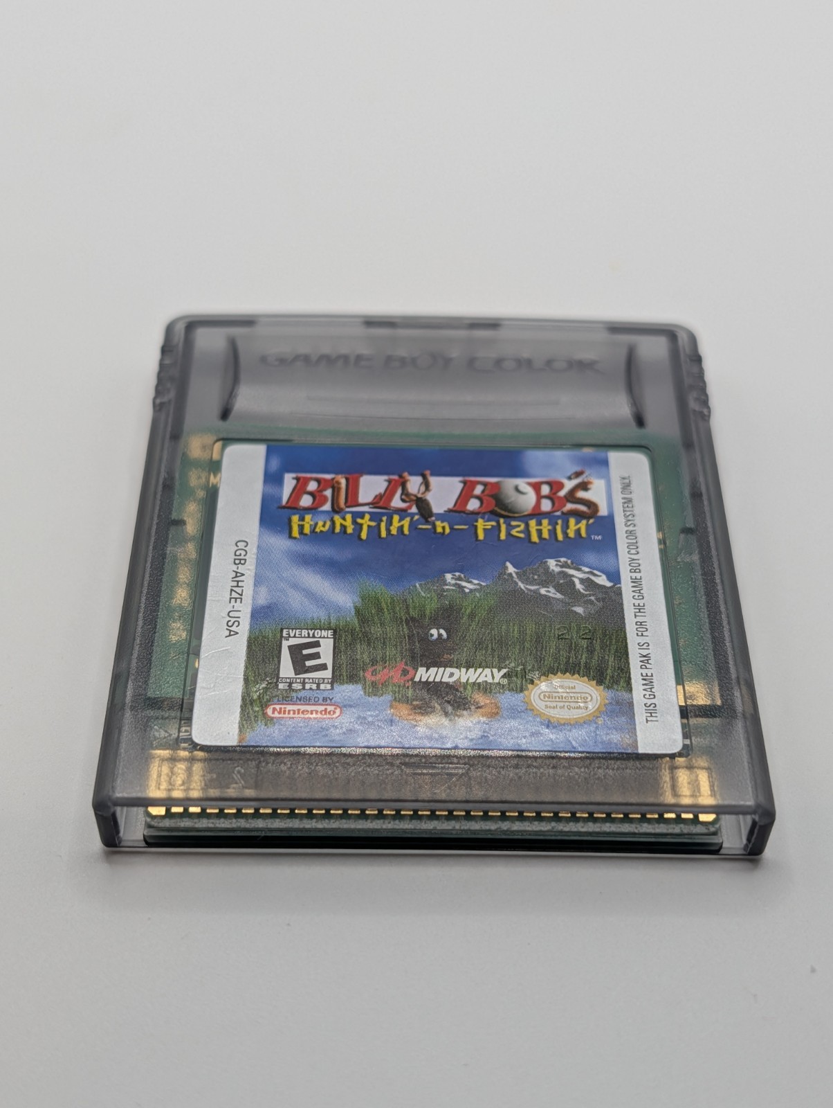 Billy Bob's Huntin'-n-Fishin' Nintendo GameBoy Color - Tested 
