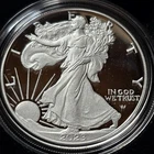 A 2023 S Proof $1 American Silver Eagle In OGP COA