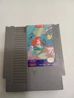 NES Game Lot (4 games) untested.