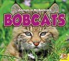 Bobcats by Aaron Carr (Hardback, 2015)